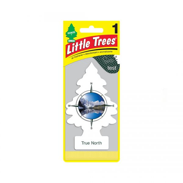 Little Trees Air Freshener - True North
